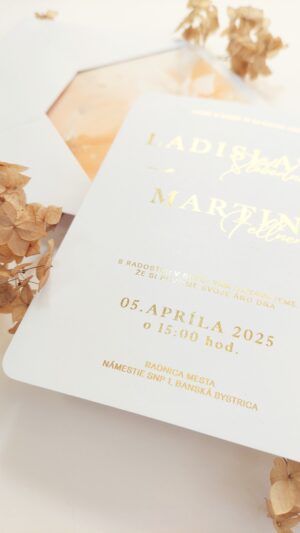 MONELLINE studio
