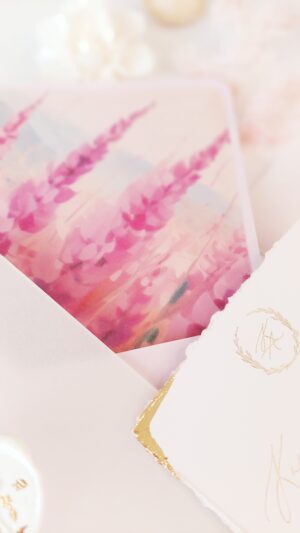 MONELLINE studio