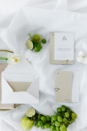 MONELLINE studio