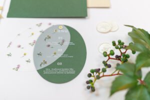 MONELLINE studio